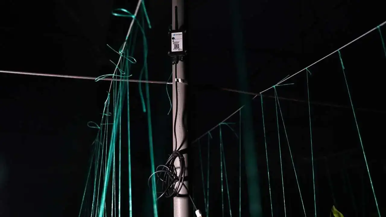 Antalya’da Don Nöbeti Tarihe Karışıyor 3